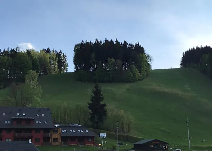 Апартаменты Sova *